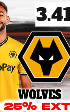 Wolves vs Newcastle: Premier League Clash